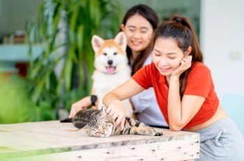 Girls playing with their Pets